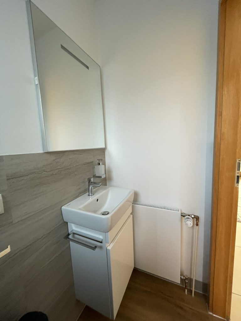 Gäste Bad grau holz Optik